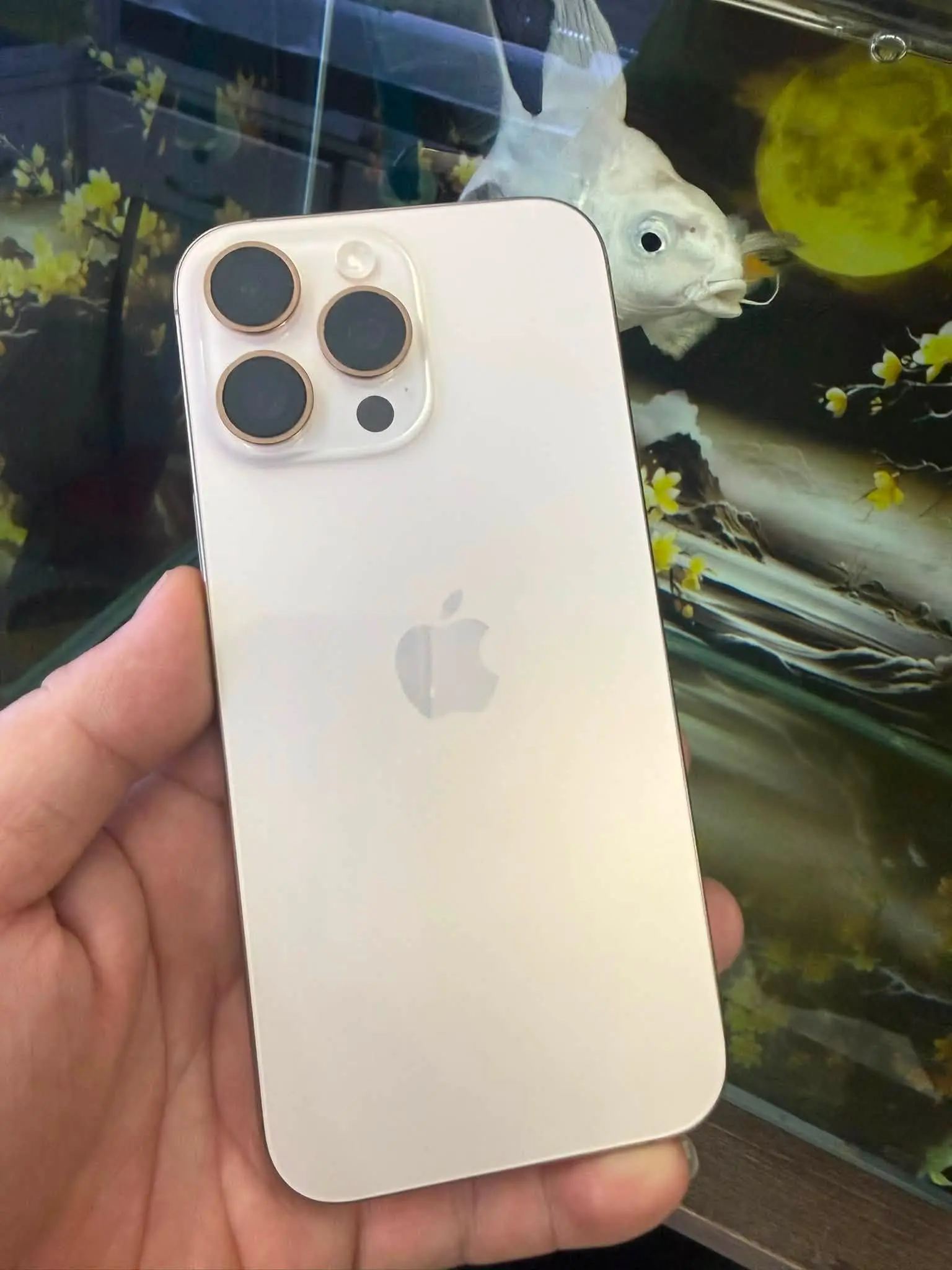 Mua iphone 15 cu tai Nhan Mobile luon duoc bao hanh bao dam day du