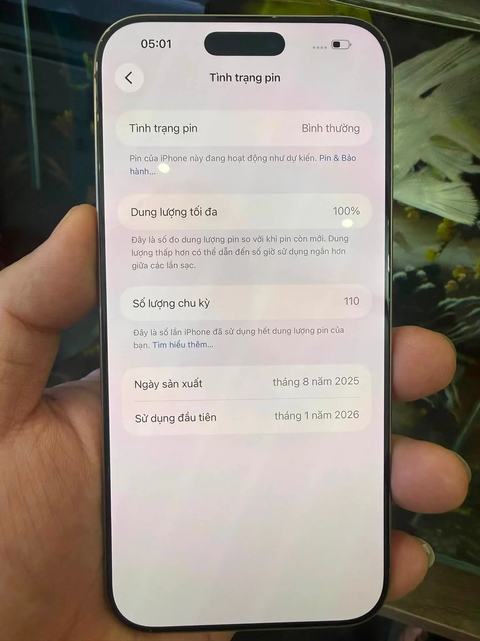 Viec tim kiem mot dia chi uy tin de mua iphone 15 cu la yeu to quan trong hang dau