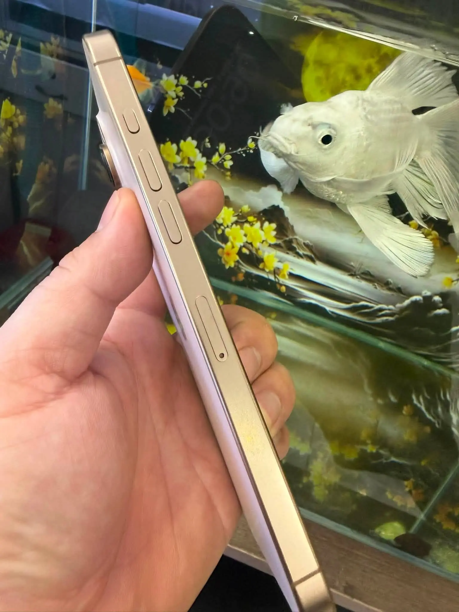 Test may cu uy tin an toan khi mua iphone 15 cu tai Nhan Mobile
