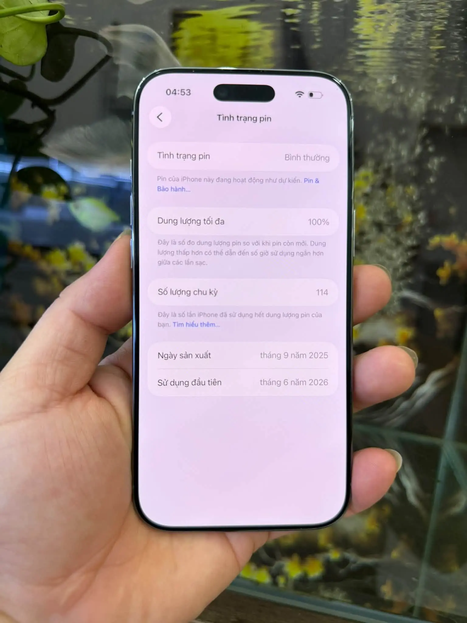 Nhan Mobile cua hang chuyen thu mua dien thoai iphone cu gia tot nhat thi truong