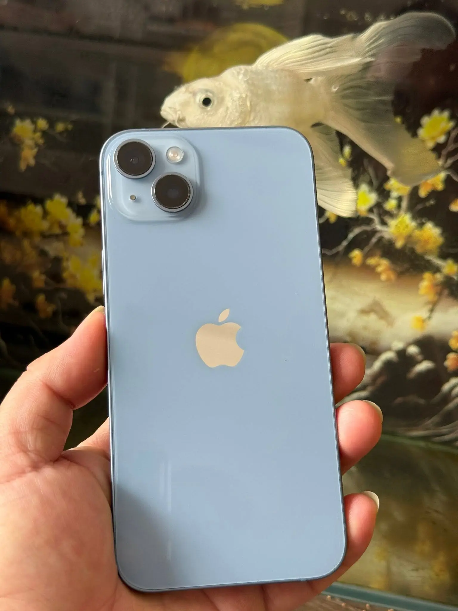 Ve sinh lau sach vat ly may iphone cu da qua su dung truoc khi toi cua hang de thu mua dien thoai cu
